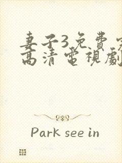 妻子3免费完整高清电视剧