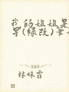 我的姐姐是大明星(绿改)笔趣阁今晚妥