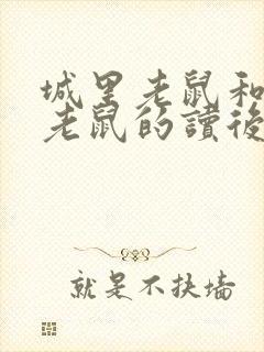 城里老鼠和乡下老鼠的读后感封面