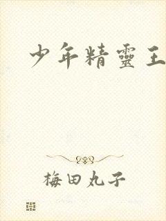 少年精灵王
