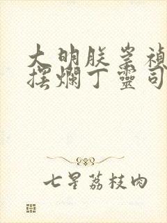 大明朕崇祯只想摆烂丁灵司笔趣阁封面