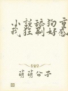 小说舔狗重生,我狂刷好感度小说