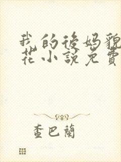我的后妈貌美如花小说免费阅读