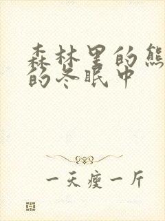 森林里的熊先生的冬眠中