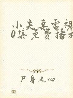 小夫妻电视剧40集免费播放