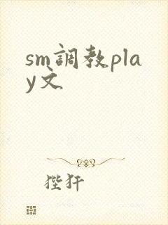 sm调教play文