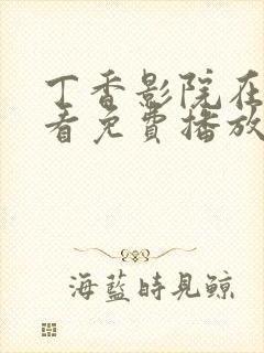 丁香影院在线观看免费播放电视剧封面