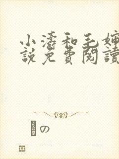 小涛和毛婶的小说免费阅读