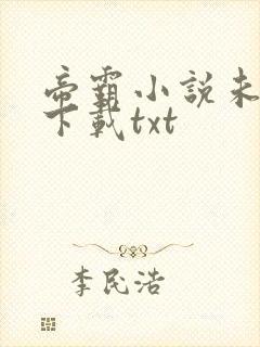 帝霸小说未删版下载txt封面