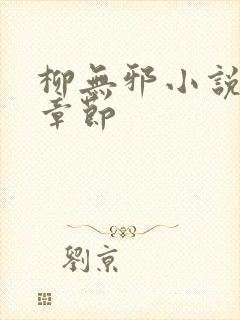 柳无邪小说最新章节