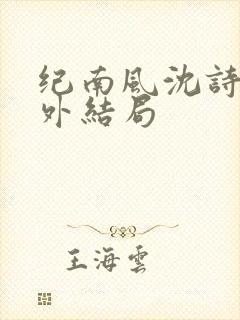 纪南风沈诗澜番外结局