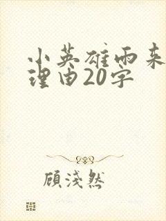 小英雄雨来推荐理由20字封面