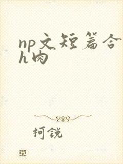 np文短篇合集h肉封面