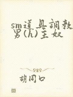 sm道具调教男男(h)主奴