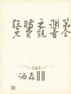 狂赌之渊第二季免费观看全集封面