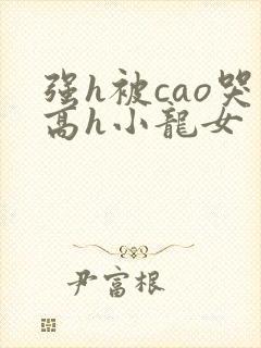 强h被cao哭高h小龙女