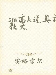 sm高h道具调教文封面