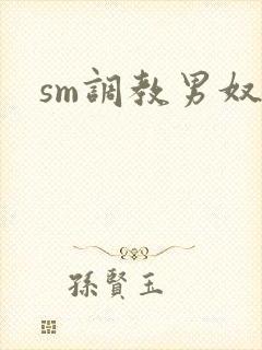 sm调教男奴文封面