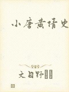 小唐黄倩史