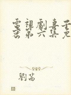 电视剧妻子的秘密第六集免费观看