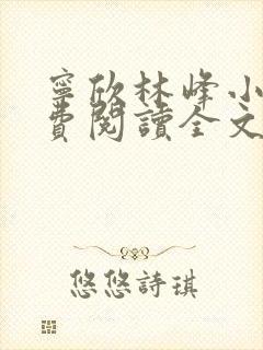 宁欣林峰小说免费阅读全文无弹窗