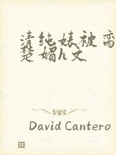 清纯婊被脔日常楚媚h文封面