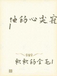 他的心尖宠1v1
