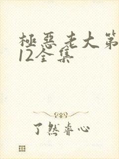 极恶老大第二季12全集