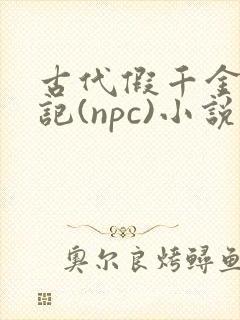 古代假千金挨日记(npc)小说封面