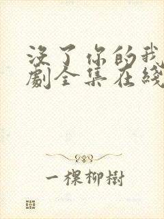 没了你的我电视剧全集在线观看封面