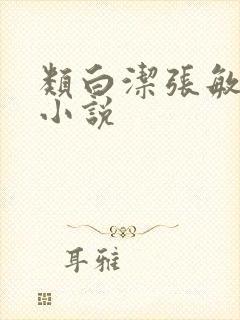 类白洁张敏孙倩小说