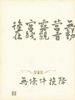 后宫露营无删减在线观看动漫全集