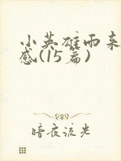 小英雄雨来读后感(15篇)