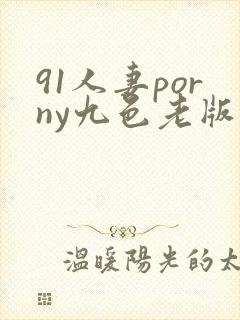 91人妻porny九色老版封面