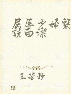 屈辱少妇系列小说白洁封面