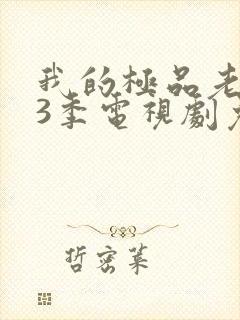 我的极品老婆第3季电视剧免费