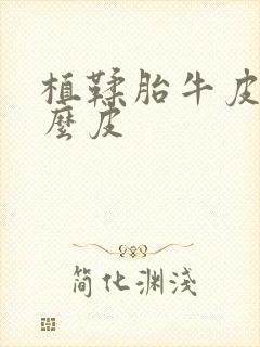 植鞣胎牛皮是什么皮