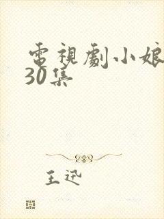 电视剧小娘惹第30集