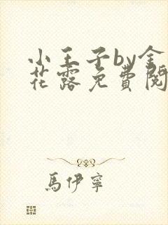 小王子by金银花露免费阅读笔趣阁