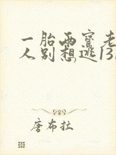 一胎两宝老婆大人别想逃1318章