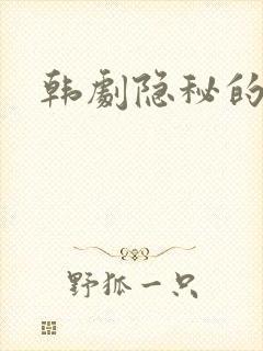 韩剧隐秘的诱惑