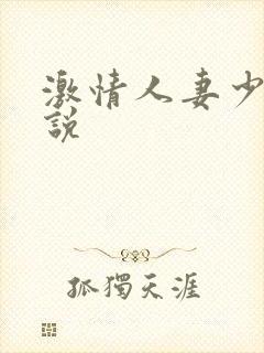 激情人妻少妇小说