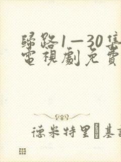 归路1—30集电视剧免费观看