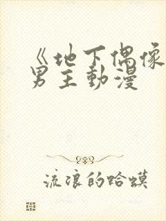 《地下偶像》双男主动漫