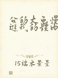 公的大龟慢慢挺进我的体内视频