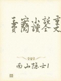 王安小说重生免费阅读全文