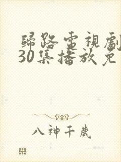 归路电视剧全集30集播放免费观看