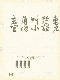 主角叫楚东恒的官场小说免费阅读