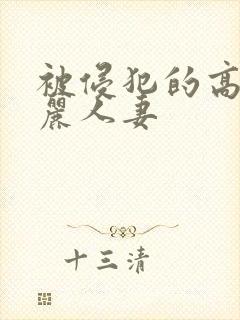 被侵犯的高贵美丽人妻封面