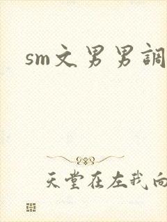 sm文男男调教